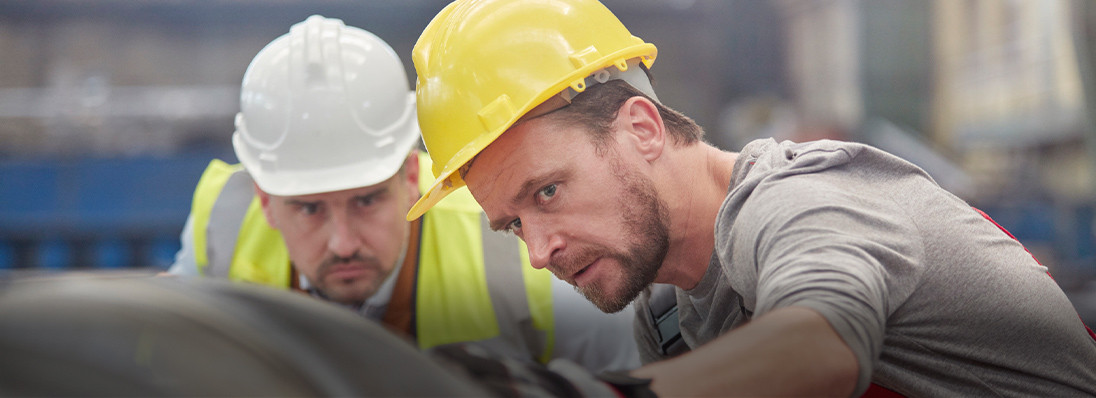 SSW VISA(SPECIFIED SKILLED WORKER VISA)